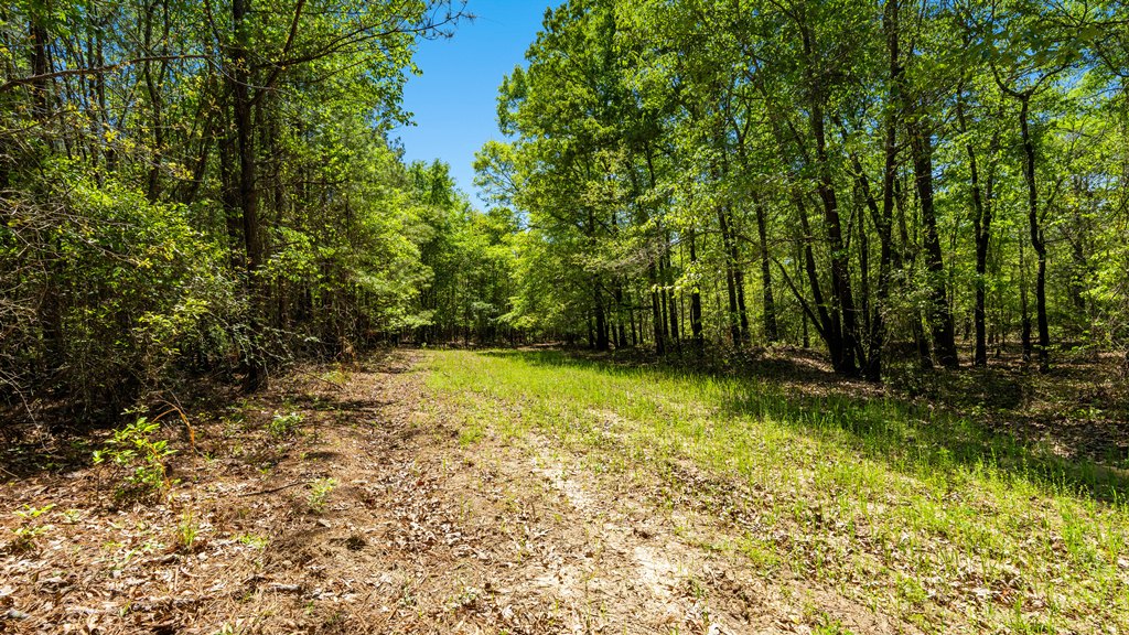 North Taylor Ranch Photo