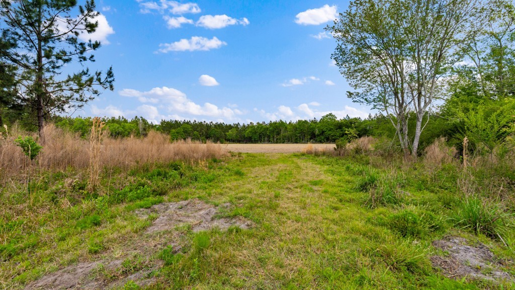 Wolf Branch Farm Photo