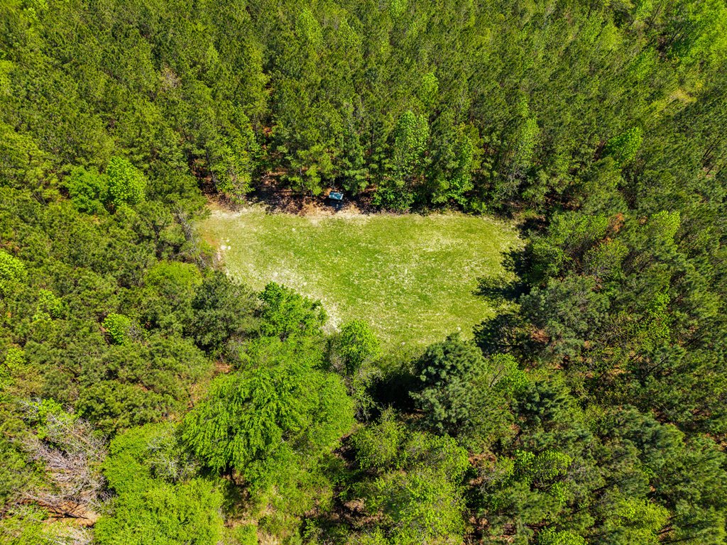 North Taylor Ranch Photo