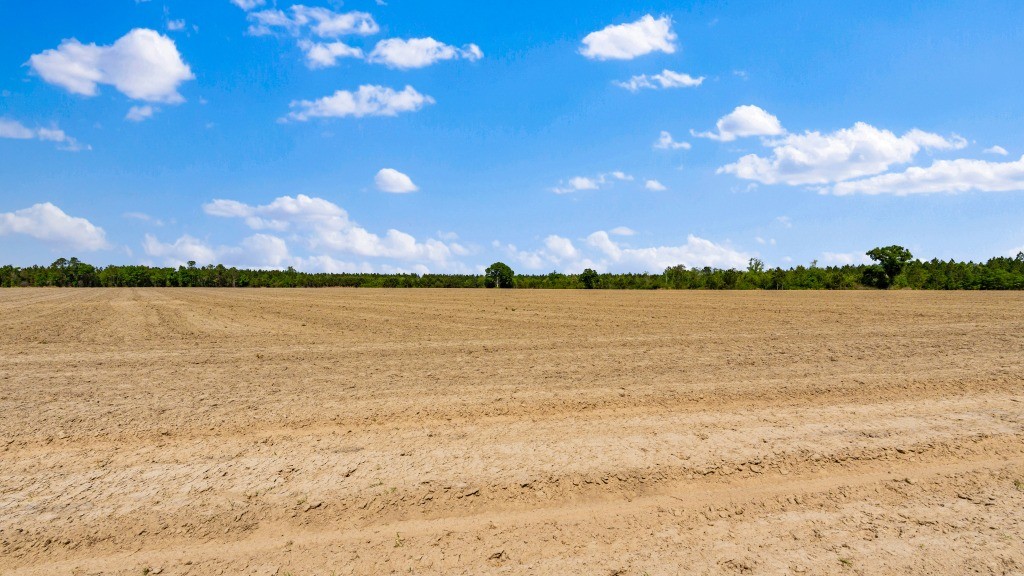 Wolf Branch Farm Photo