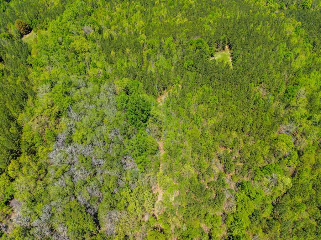 North Taylor Ranch Photo