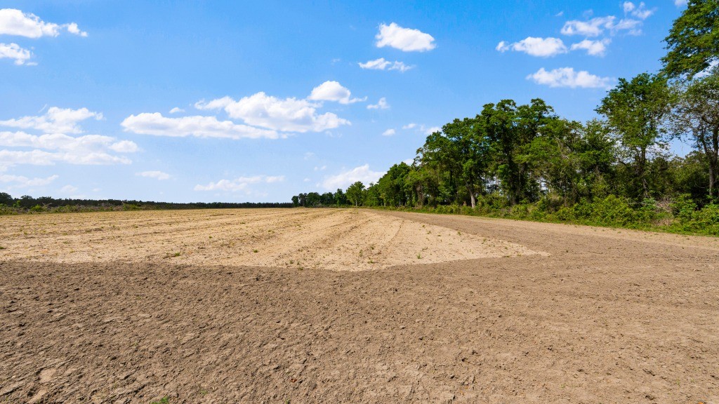 Wolf Branch Farm Photo
