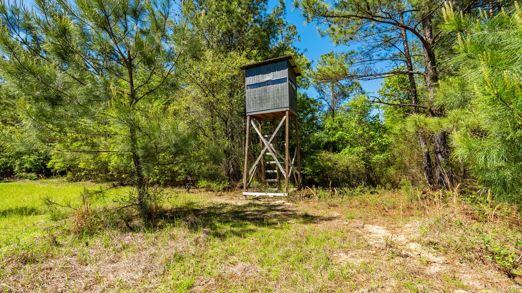 North Taylor Ranch Photo