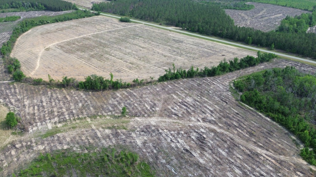 Bunn Store Road Photo