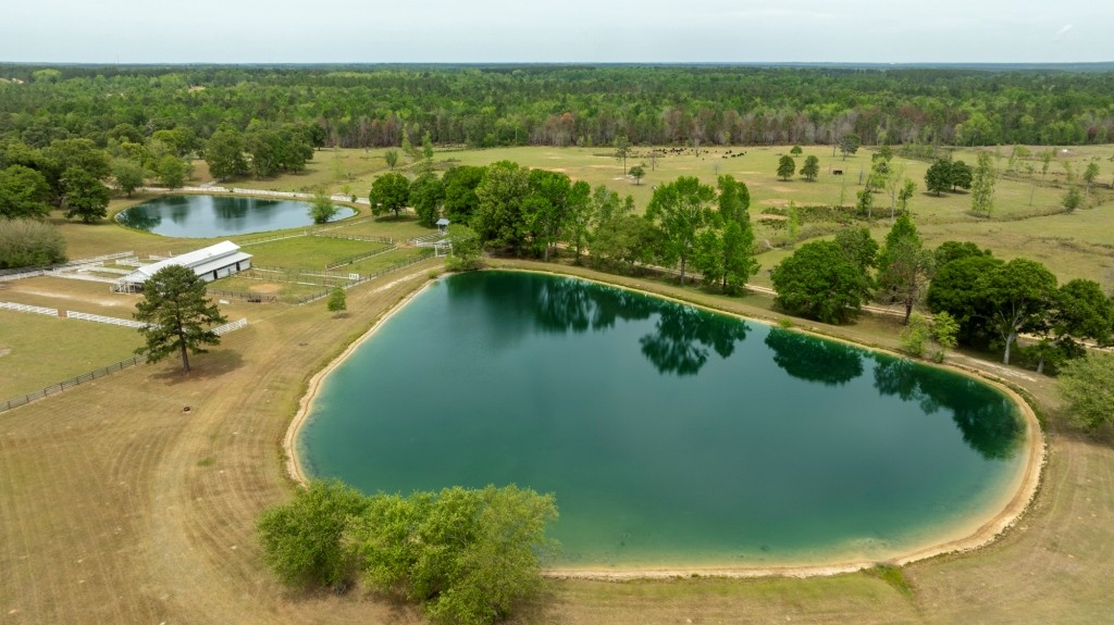 Elysian Fields Cattle Farm Photo
