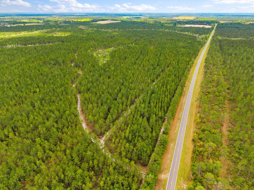 Wolf Branch Farm Photo