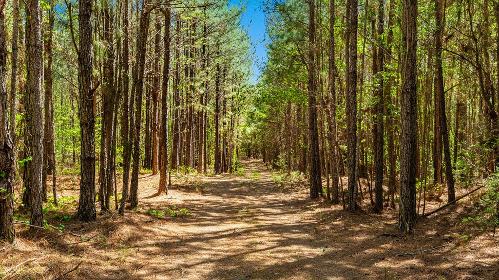 North Taylor Ranch Photo