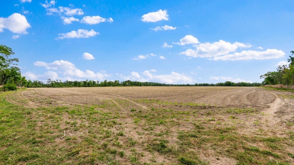 Wolf Branch Farm Photo