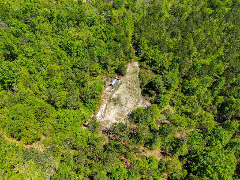 North Taylor Ranch Photo