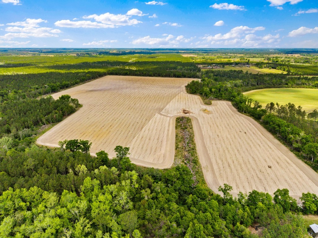 Wolf Branch Farm Photo