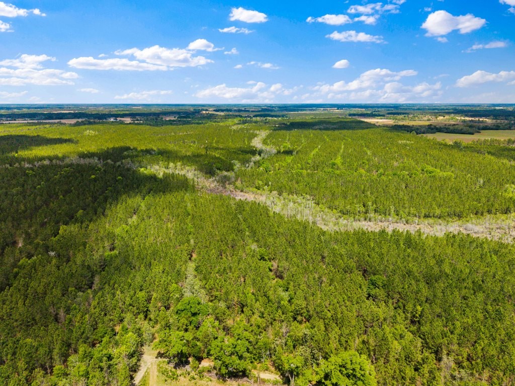 Wolf Branch Farm Photo