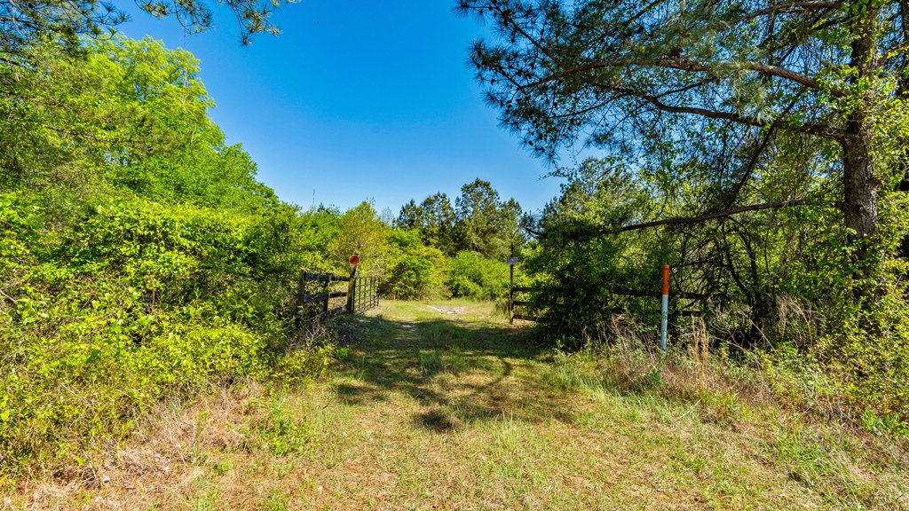 North Taylor Ranch Photo