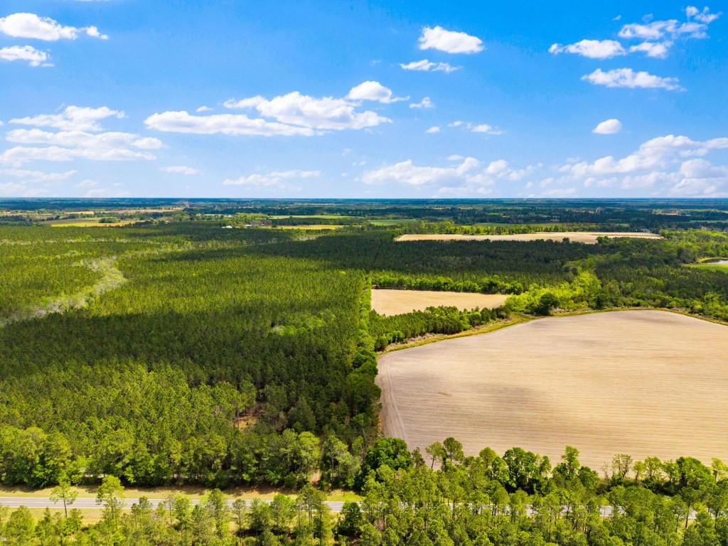Wolf Branch Farm Photo