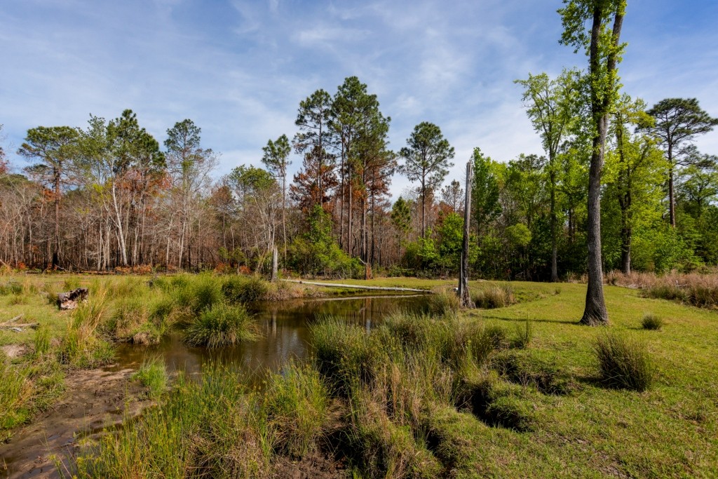 Elysian Fields Cattle Farm Photo