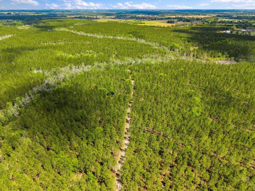 Wolf Branch Farm Photo