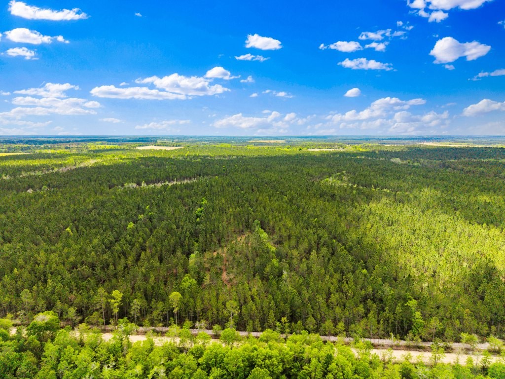 Wolf Branch Farm Photo