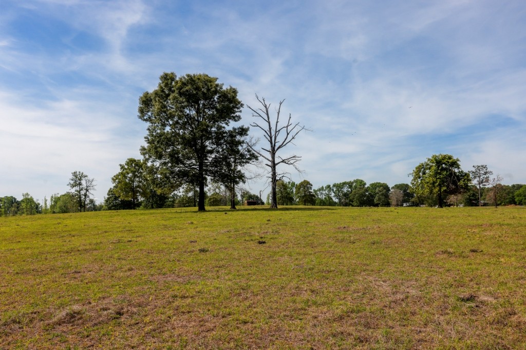 Elysian Fields Cattle Farm Photo