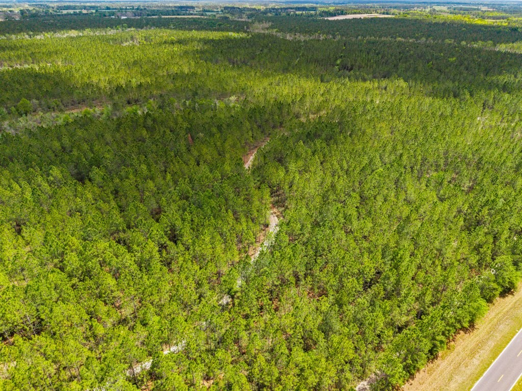 Wolf Branch Farm Photo