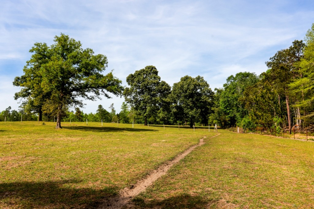 Elysian Fields Cattle Farm Photo