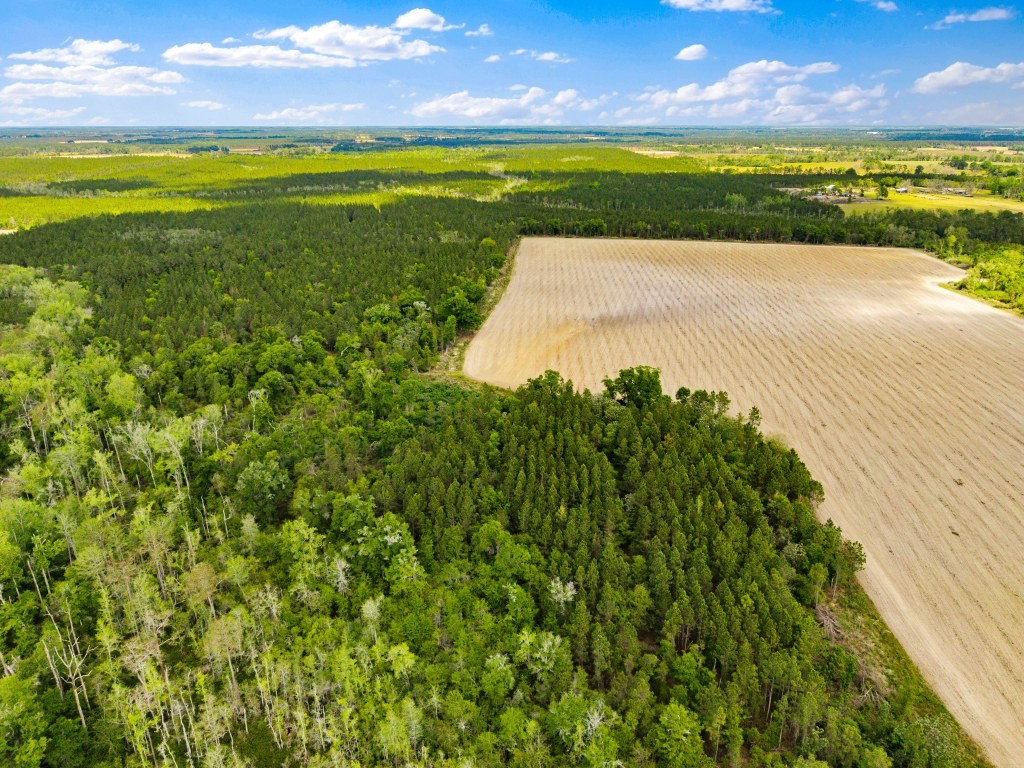 Wolf Branch Farm Photo