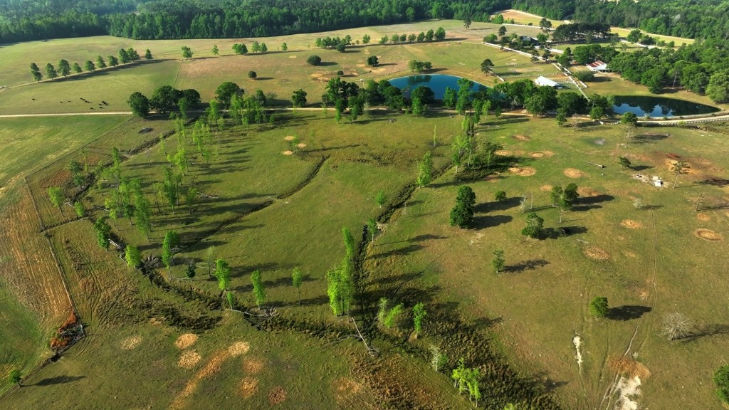 Elysian Fields Cattle Farm Photo