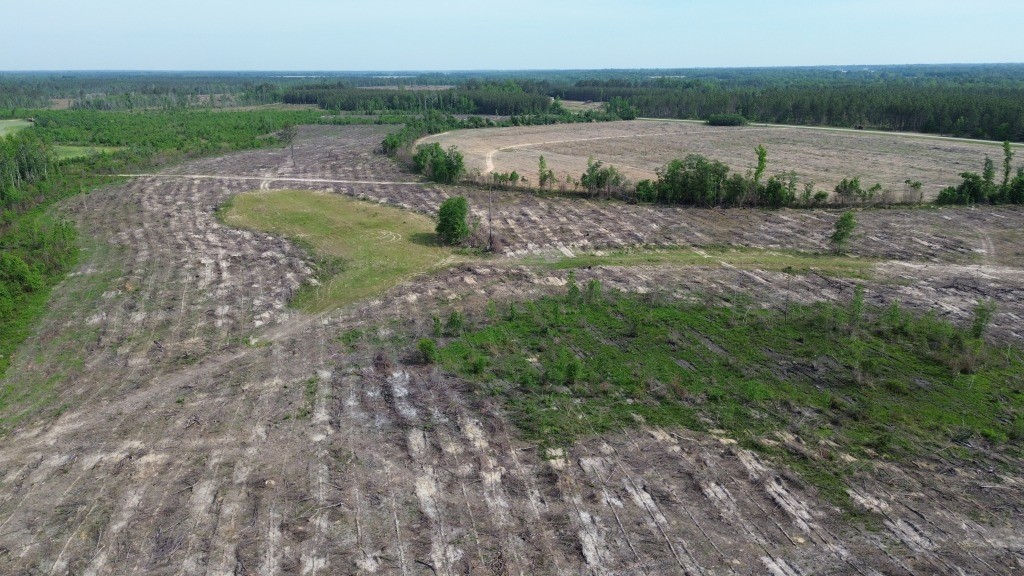 Bunn Store Road – Tract 3 Photo