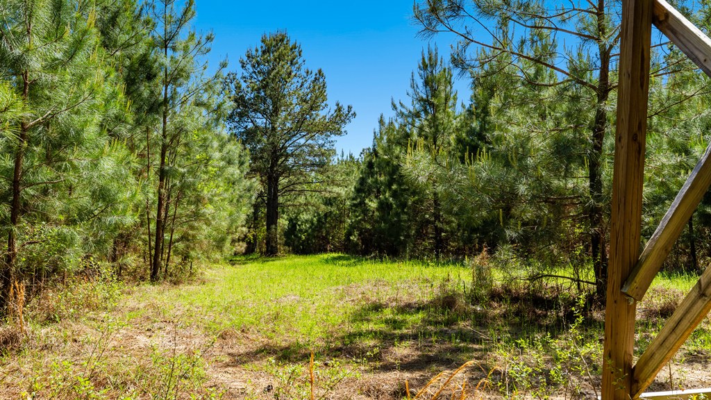 North Taylor Ranch Photo