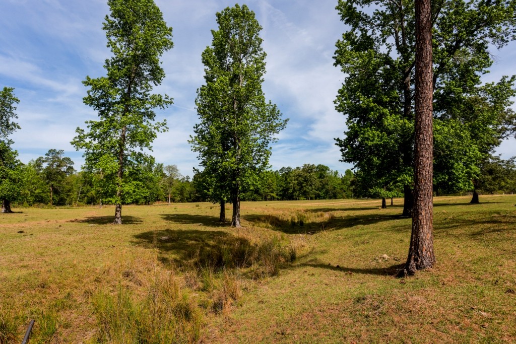 Elysian Fields Cattle Farm Photo