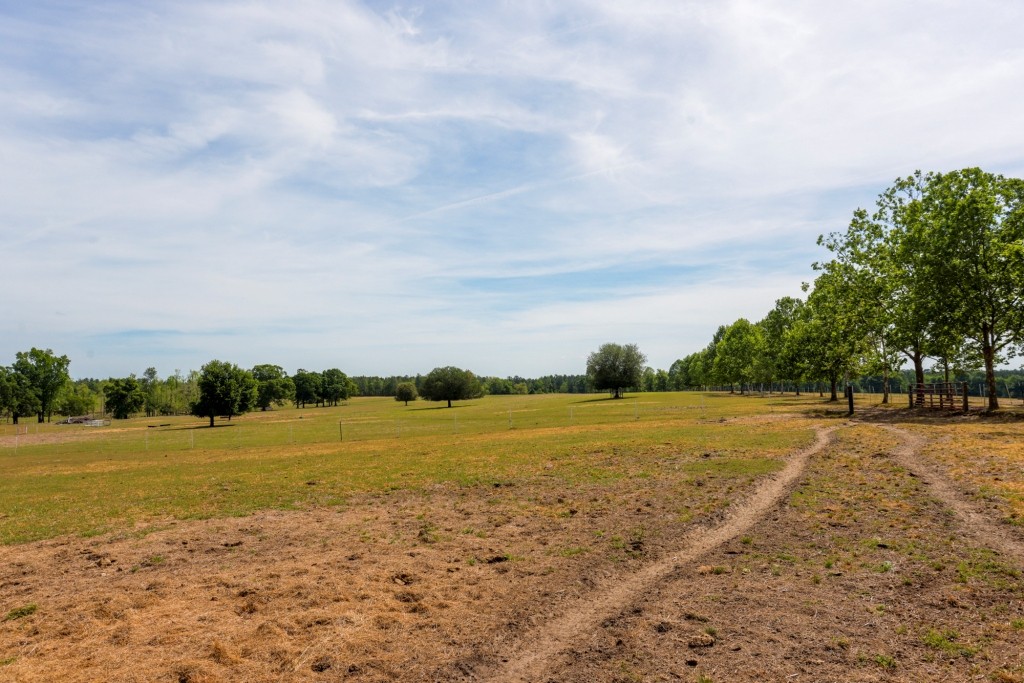 Elysian Fields Cattle Farm Photo