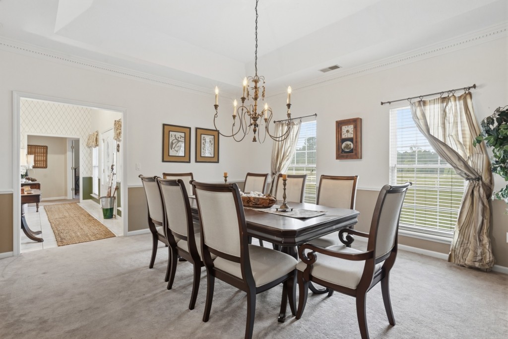 Elysian Fields Cattle Farm Photo