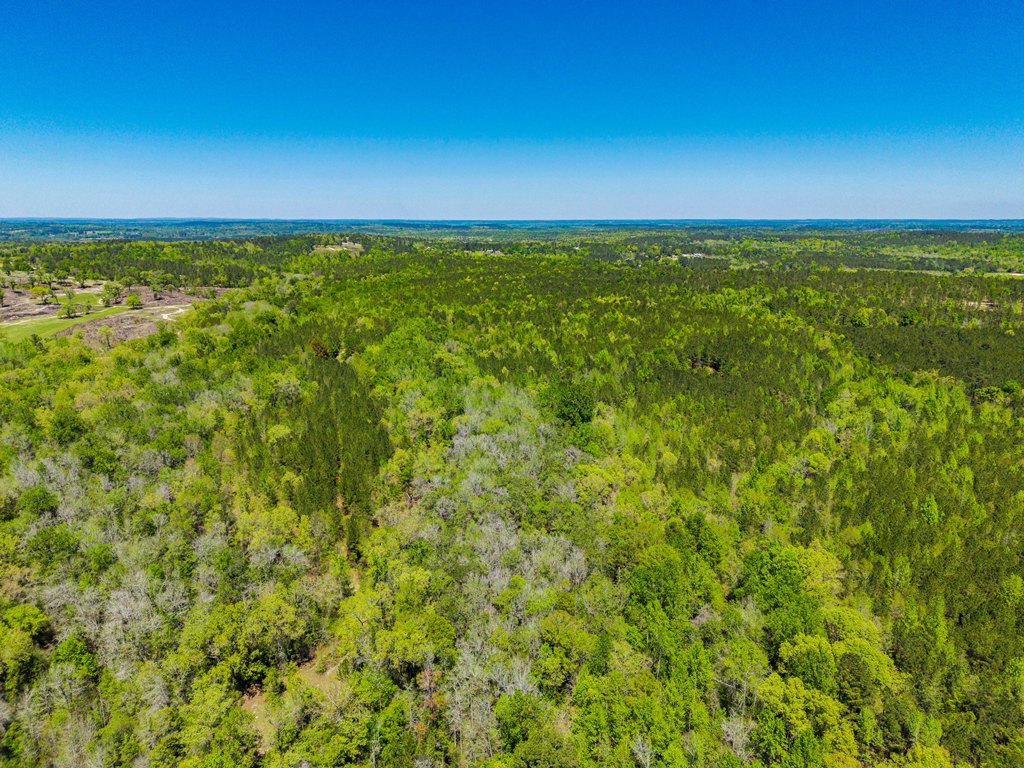 North Taylor Ranch Photo