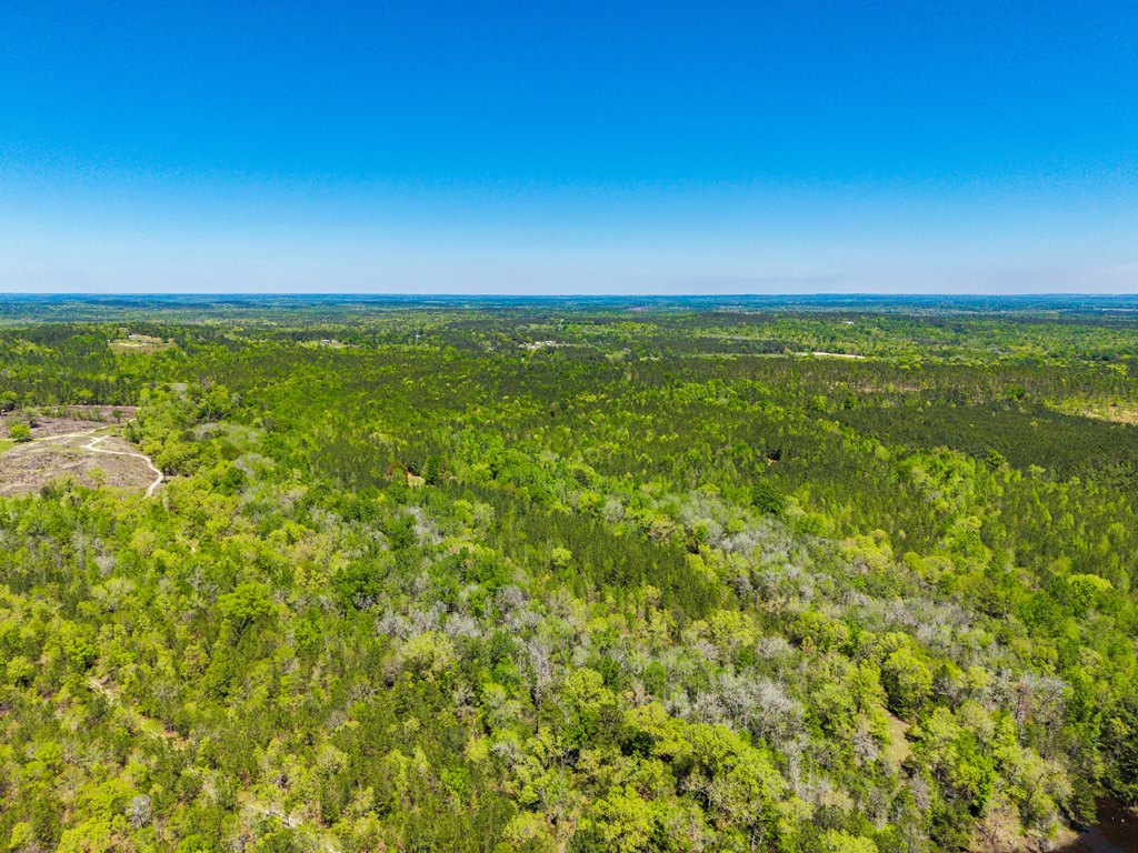 North Taylor Ranch Photo