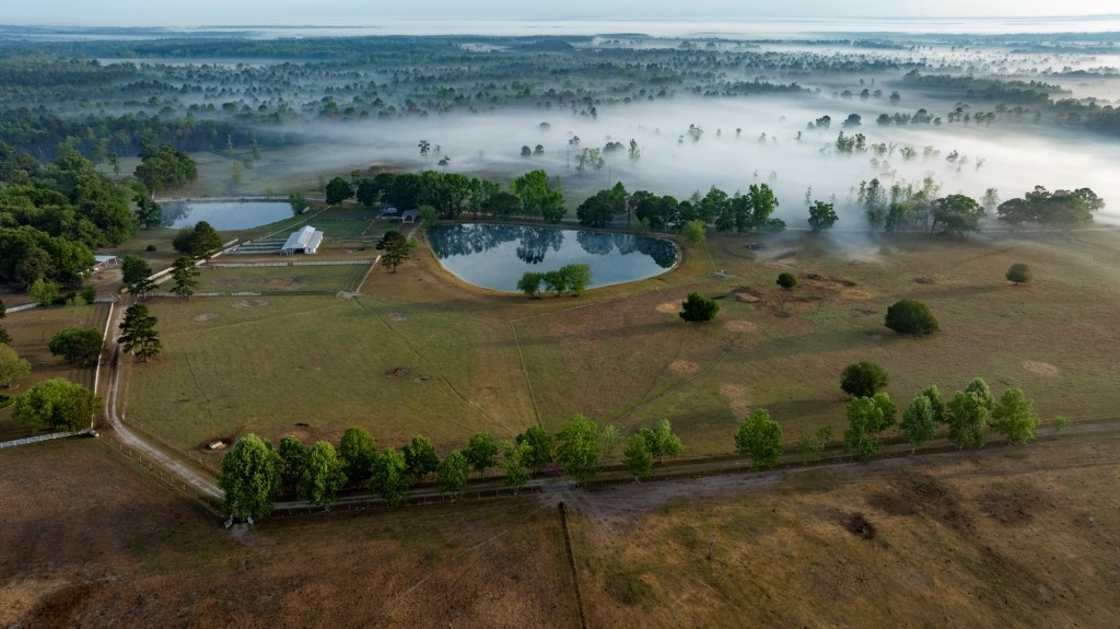 Elysian Fields Cattle Farm Photo