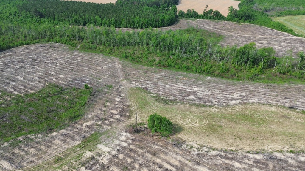 Bunn Store Road Photo
