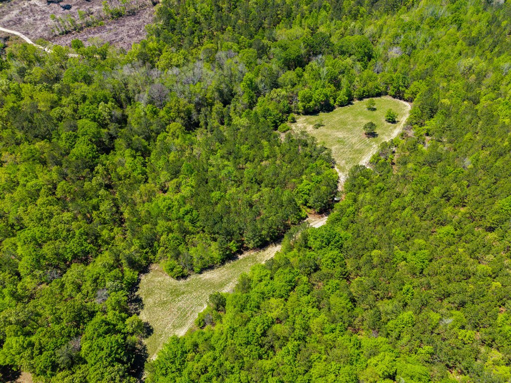 North Taylor Ranch Photo