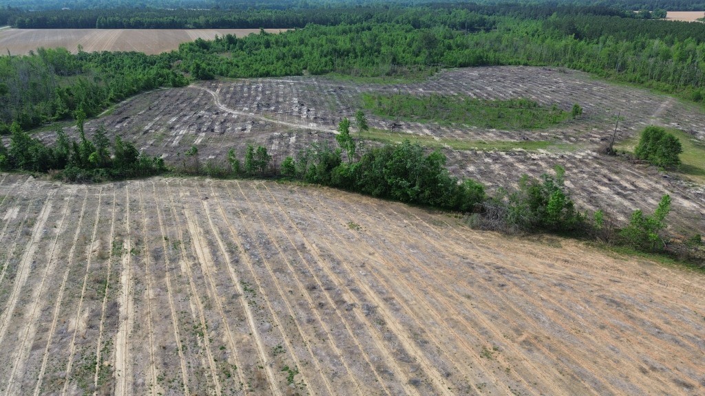 Bunn Store Road Photo