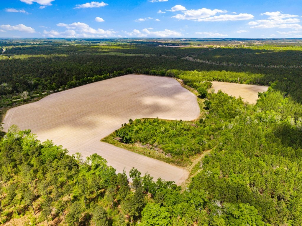Wolf Branch Farm Photo