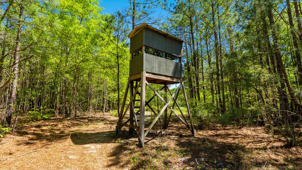 North Taylor Ranch Photo