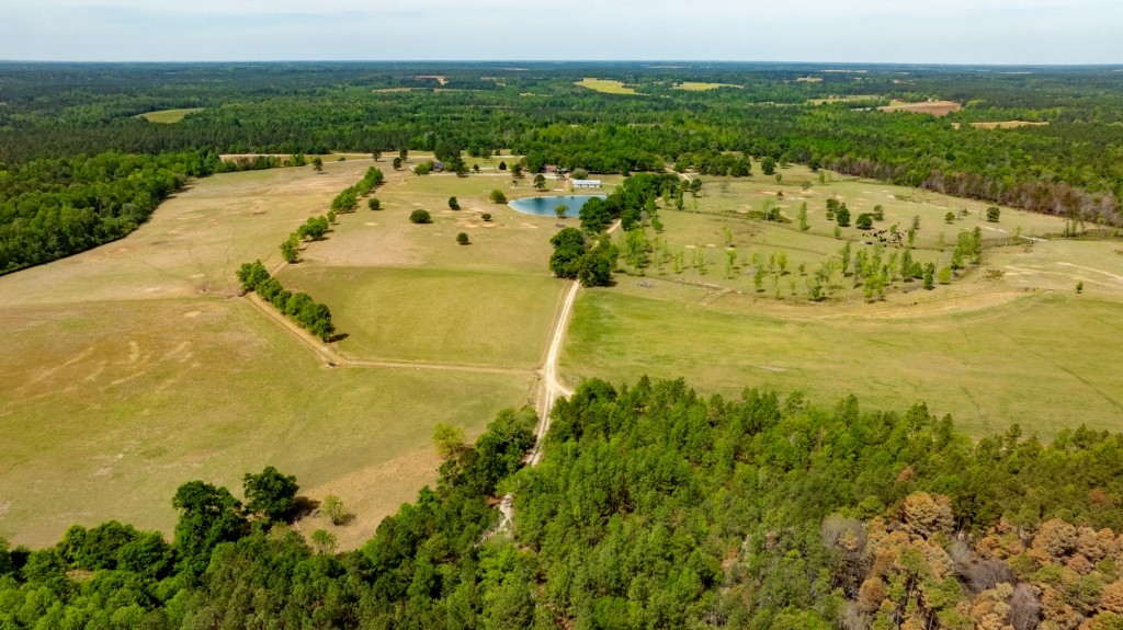 Elysian Fields Cattle Farm Photo