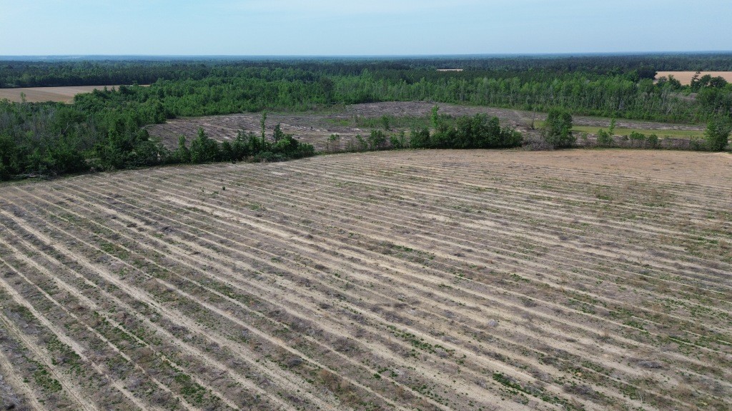 Bunn Store Road Photo