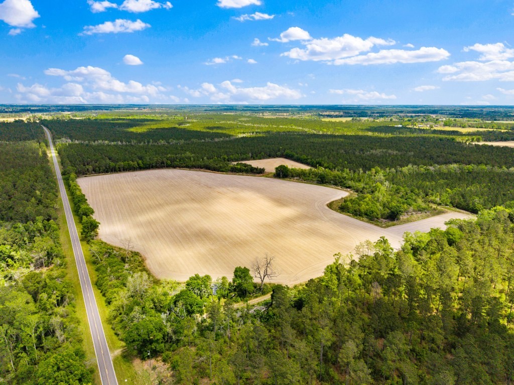 Wolf Branch Farm Photo