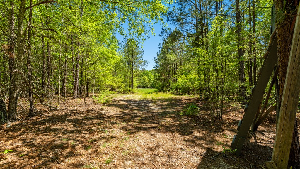 North Taylor Ranch Photo