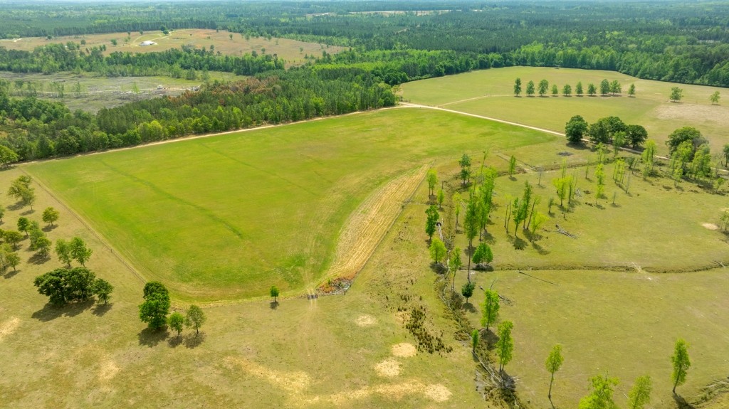 Elysian Fields Cattle Farm Photo