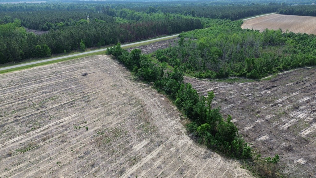 Bunn Store Road Photo