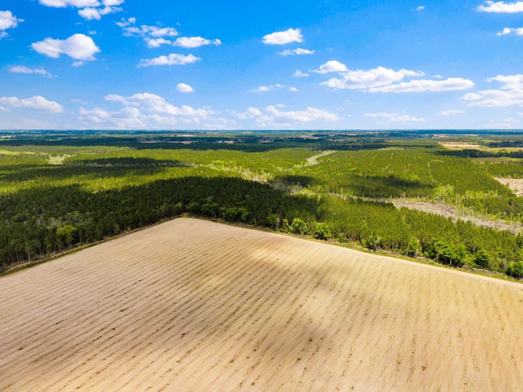 Wolf Branch Farm Photo