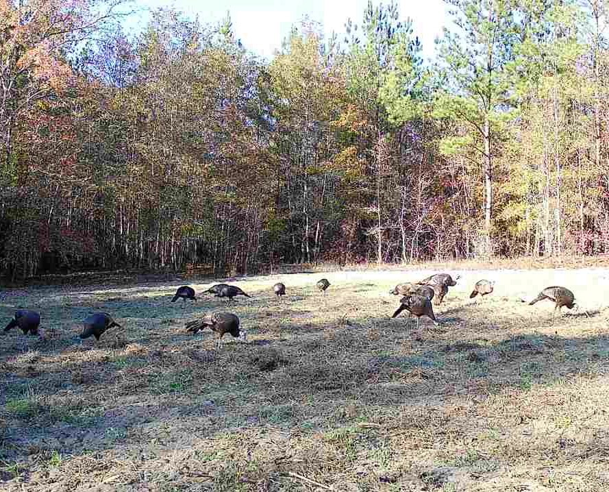 North Taylor Ranch Photo