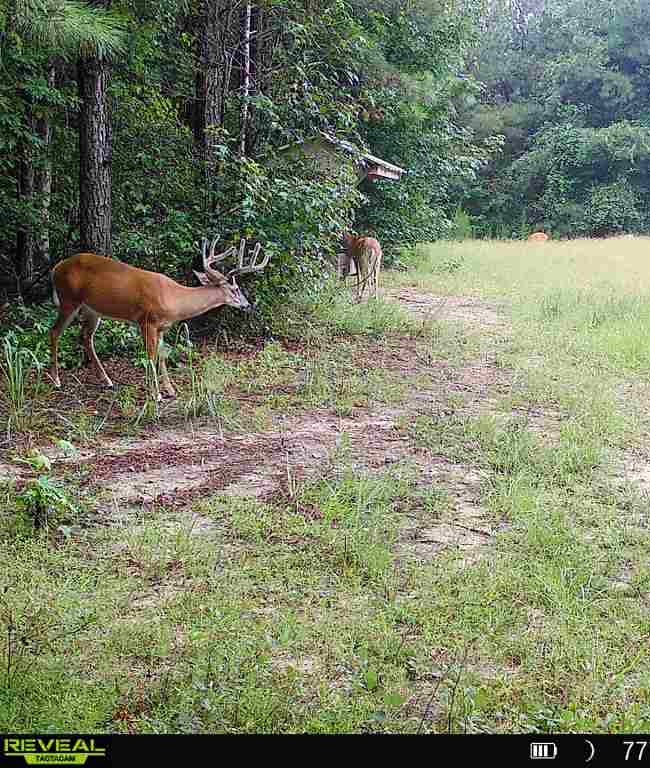 North Taylor Ranch Photo