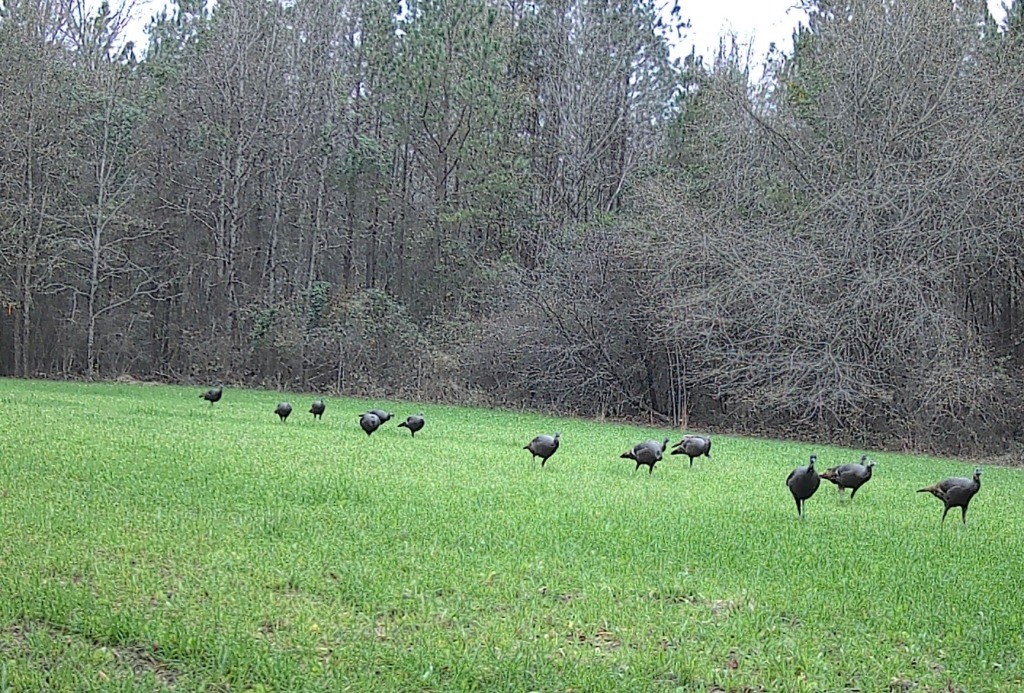 North Taylor Ranch Photo