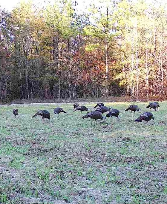 North Taylor Ranch Photo