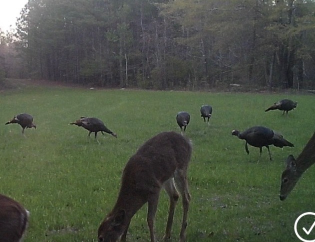North Taylor Ranch Photo